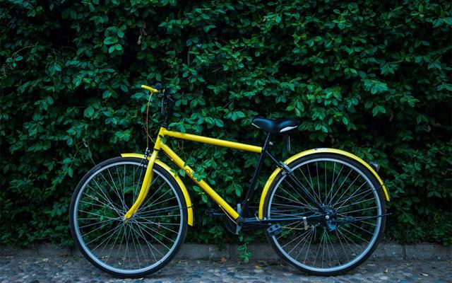 共享單車的“罪與罰”：與機(jī)動(dòng)車爭(zhēng)路權(quán) 用戶行為難約束